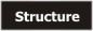 company's structure